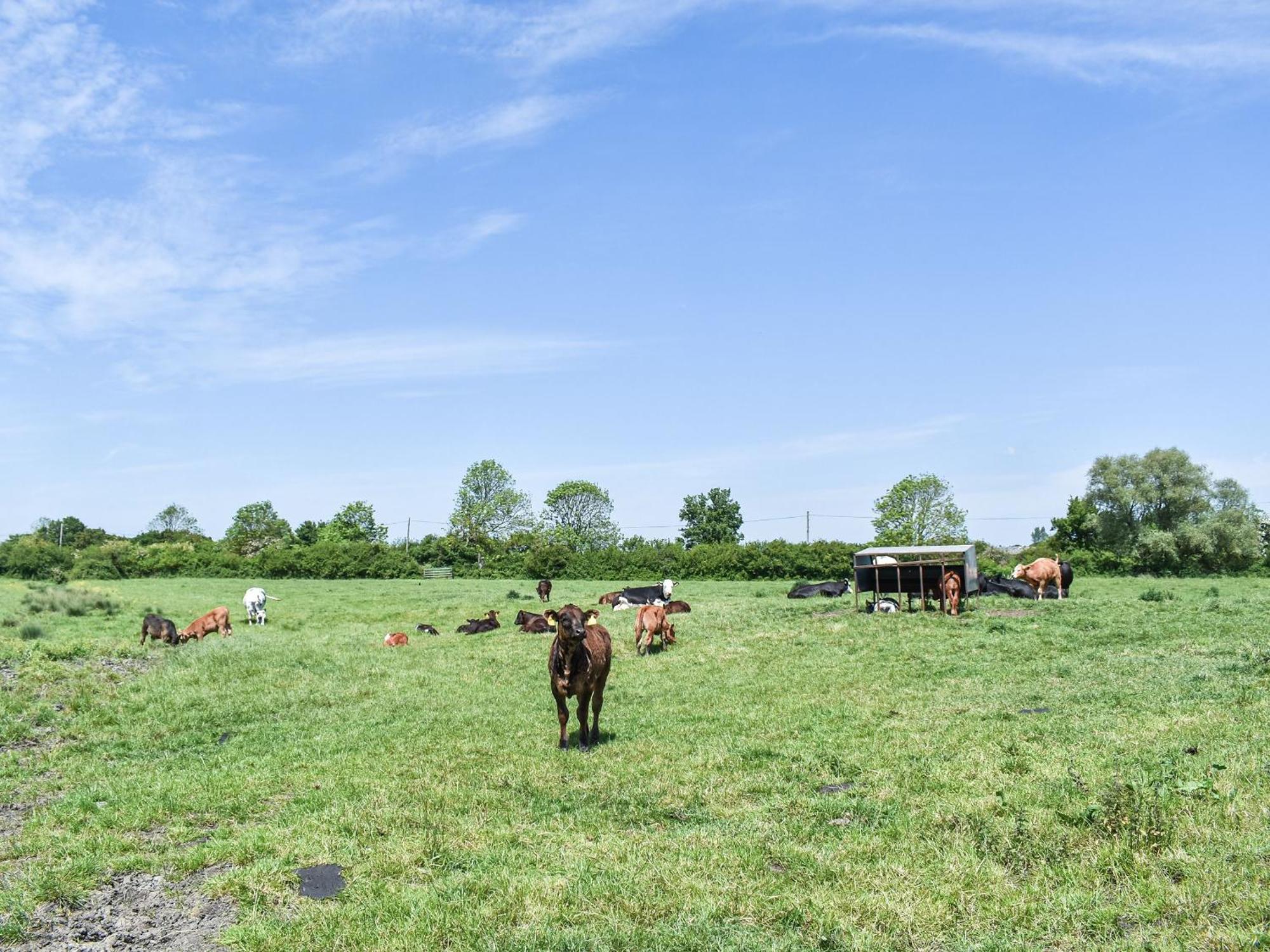Green Acre Farm Ely Ngoại thất bức ảnh
